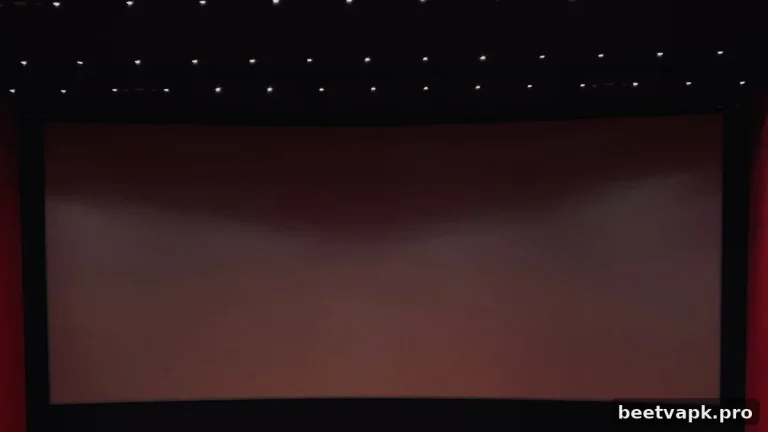 BeeTV Subtitles Not Working? Fixes & Players